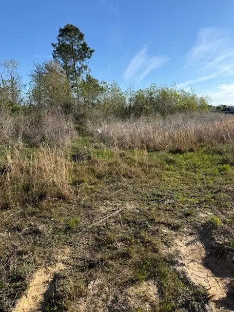 653 Road 5816, Cleveland, TX 77327 - #3