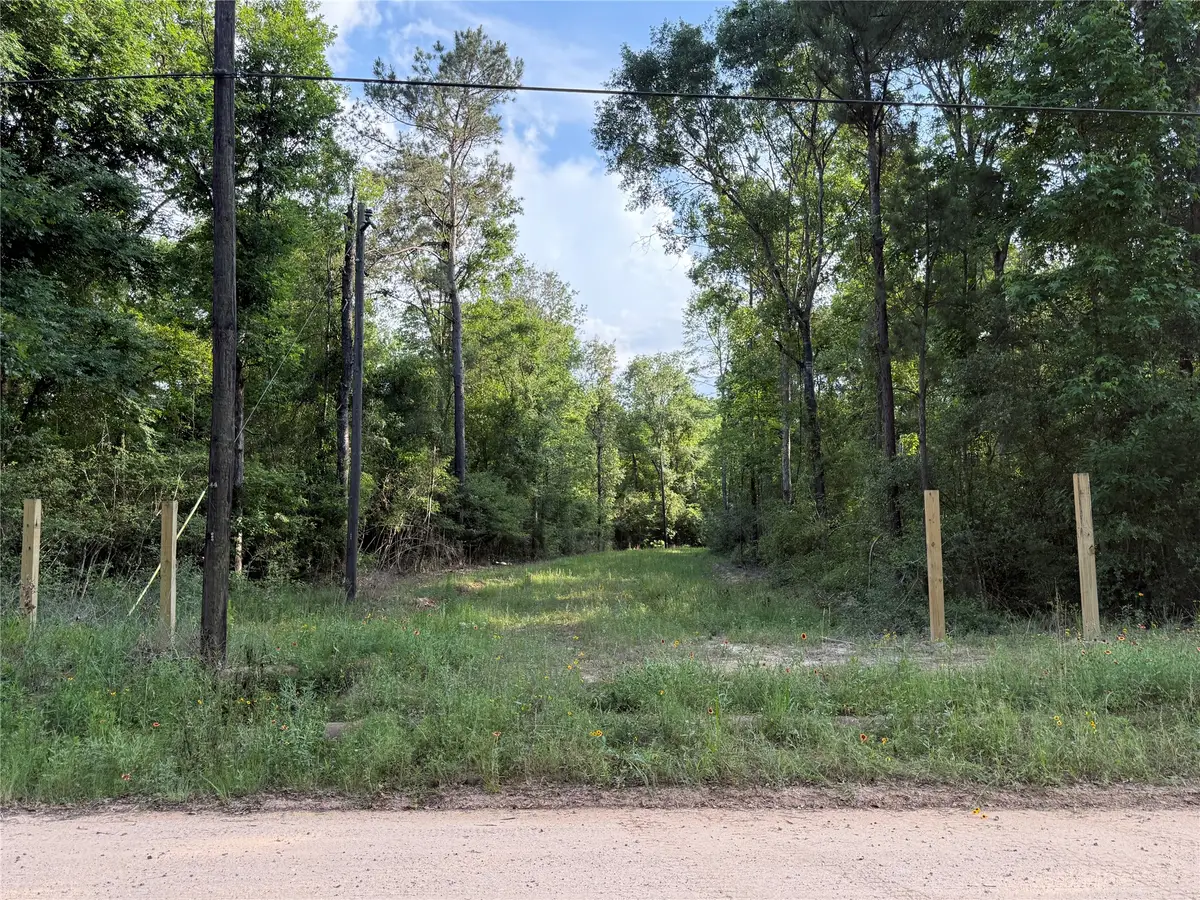 TBD E Capps Road Road, Livingston, TX 77351 - #1