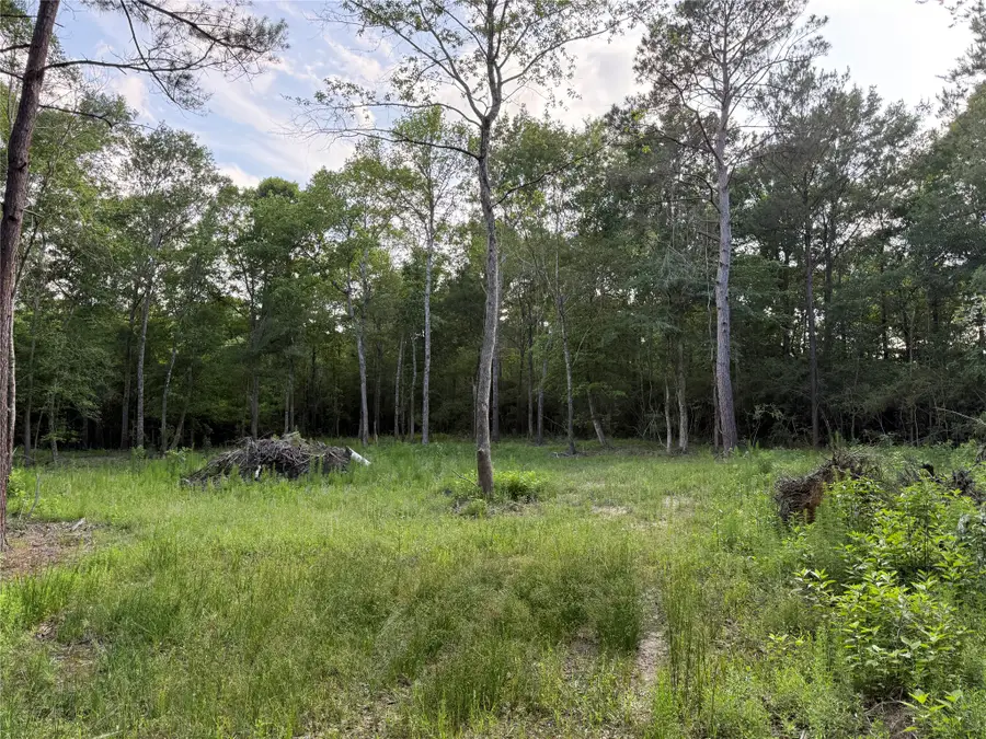 TBD E Capps Road Road, Livingston, TX 77351 - #3