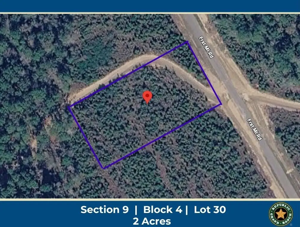 16163 Forest Mill Road, Willis, TX 77378 - #1