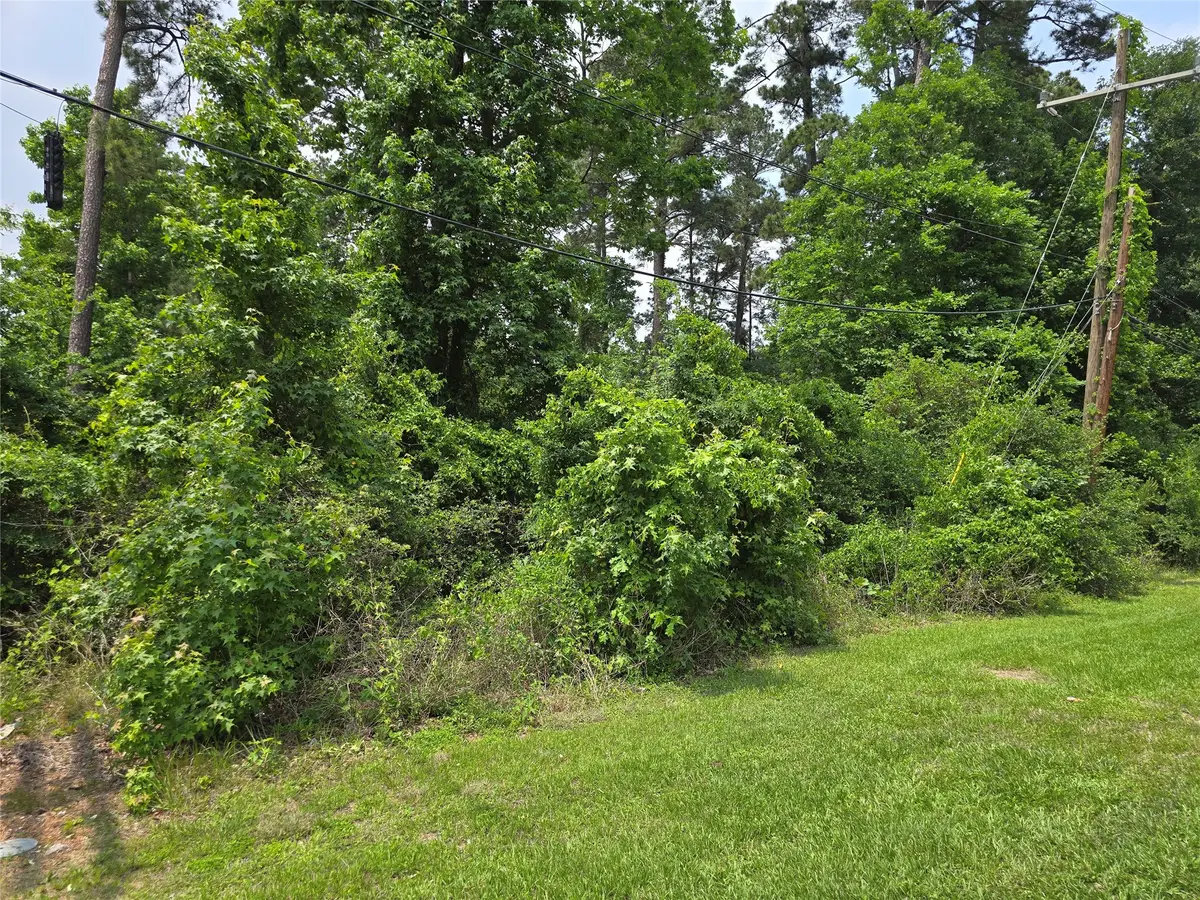 TBD - LOT 96 Indian Creek Drive, Panorama Village, TX 77304 - #1