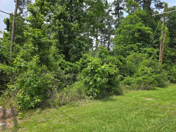 TBD - LOT 96 Indian Creek Drive, Panorama Village, TX 77304