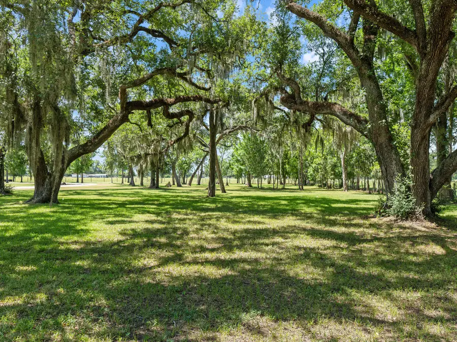0 County Road 161 Shilo, Lots 4-13 Loop, Cedar Lane, TX 77415 - #2