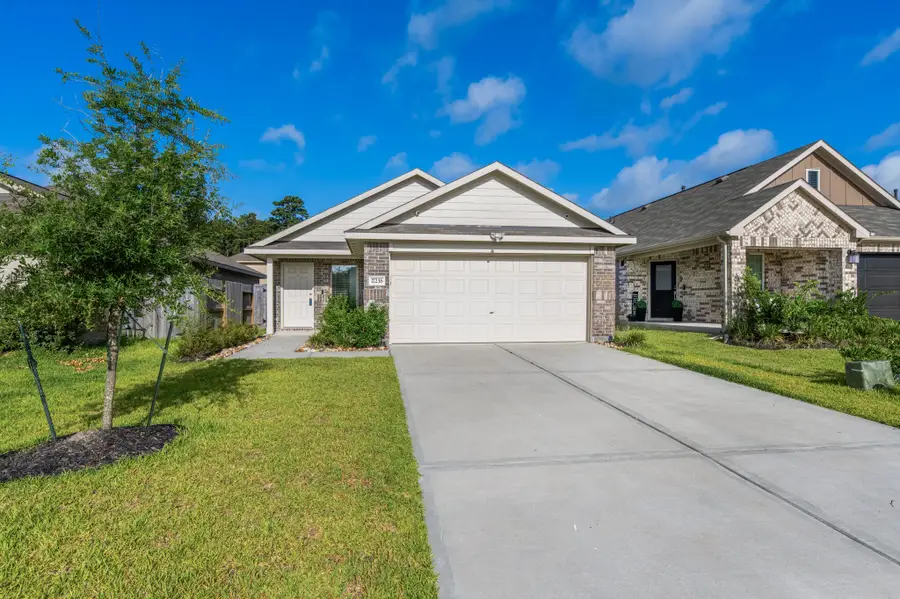 17238 Black Ash Court, New Caney, TX 77357 - #2