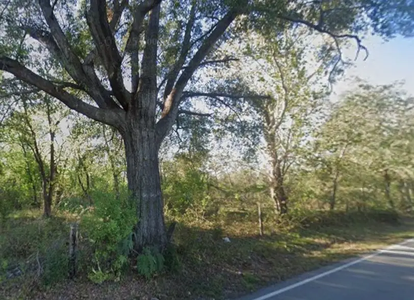 0001 Nelson Street, Spring, TX 77373 - Image #2