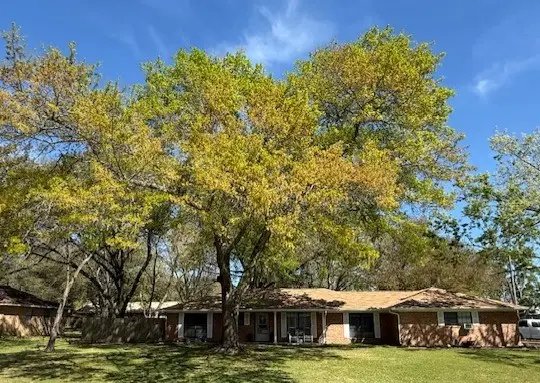 451 Pennington Street, Lovelady, TX 75851