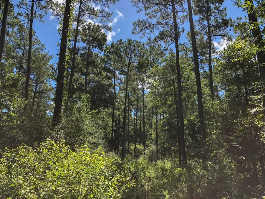 1 Us Highway 287, Corrigan, TX 75939 - #3