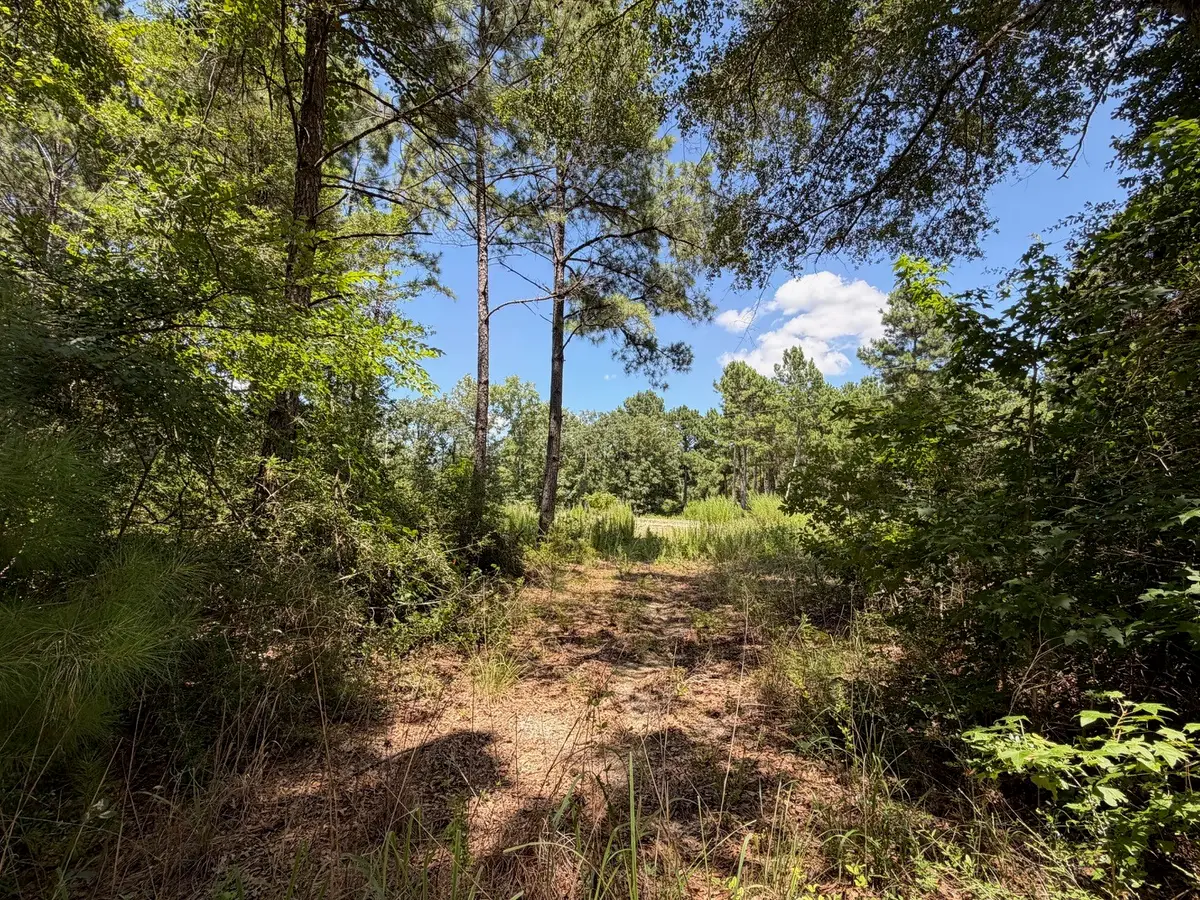TBD Pr 1284, Centerville, TX 75833 - #1