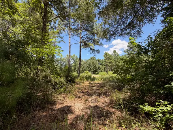 TBD Pr 1284, Centerville, TX 75833