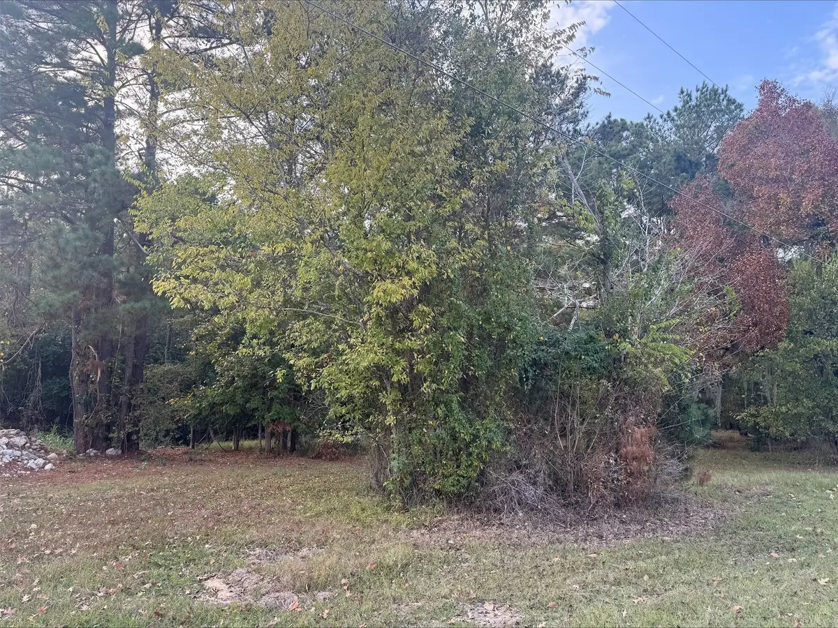 0 Silver Hickory Drive, Coldspring, TX 77331 - Image #1