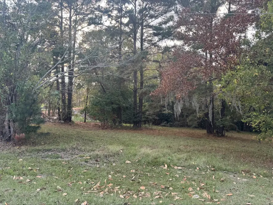 0 Silver Hickory Drive, Coldspring, TX 77331 - Image #3