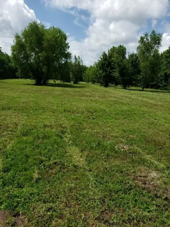 5735 Grapevine, Houston, TX 77085 - #2