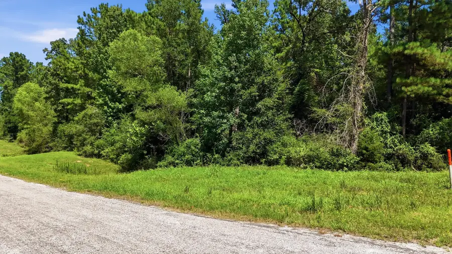 2-6-68 Hereford Trail, Huntsville, TX 77340 - #3