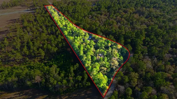 525 Bill Hales Road, Willis, TX 77378