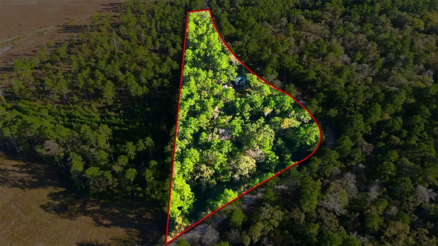 525 Bill Hales Road, Willis, TX 77378 - Image #2