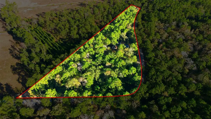 525 Bill Hales Road, Willis, TX 77378 - Image #3