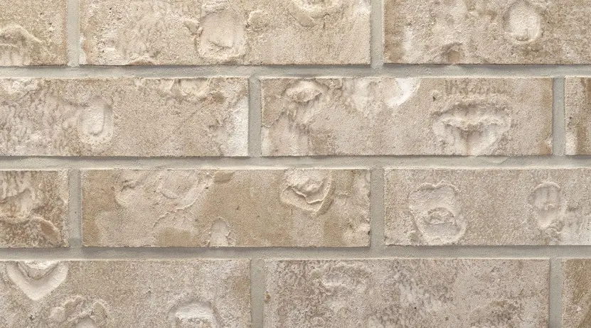 18727 Citrange Bend Way, Manvel, TX 77578 - #2