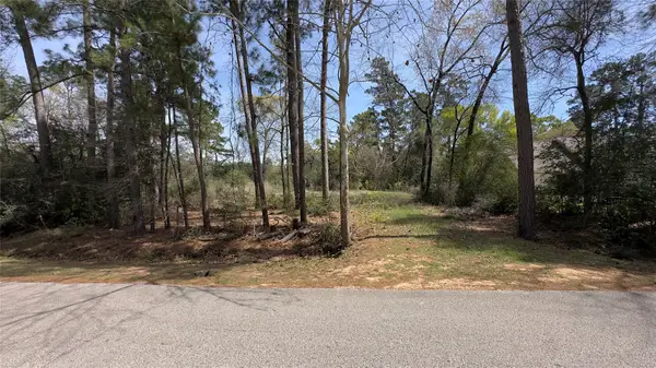 31910 Oaks Crossing, Magnolia, TX 77355