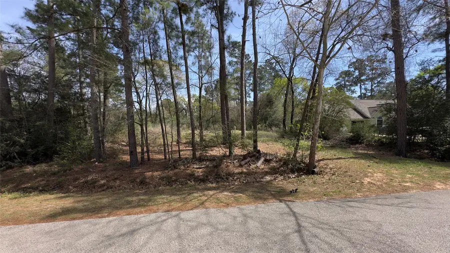 31910 Oaks Crossing, Magnolia, TX 77355 - #2