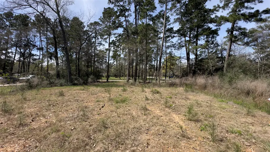 31910 Oaks Crossing, Magnolia, TX 77355 - #3