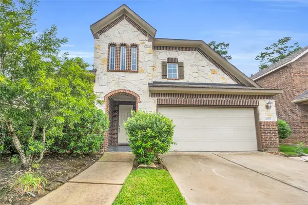 22519 Birch Ridge Meadow Drive, Spring, TX 77389