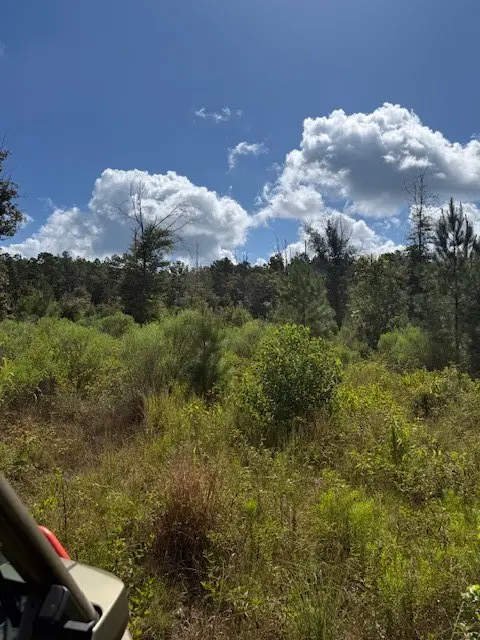 CR1 County Road 1027, Newton, TX 75966 - #1
