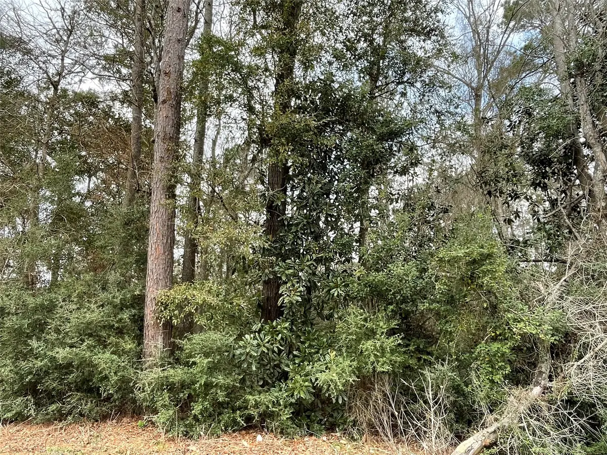 0 Codner Drive, Shepherd, TX 77371 - #1