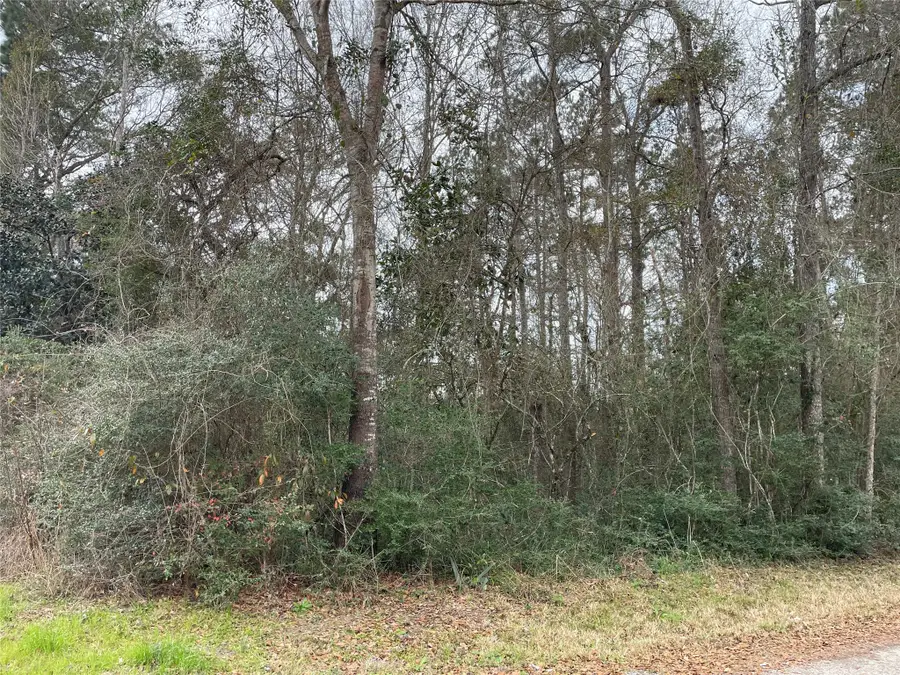 0 Codner Drive, Shepherd, TX 77371 - #2