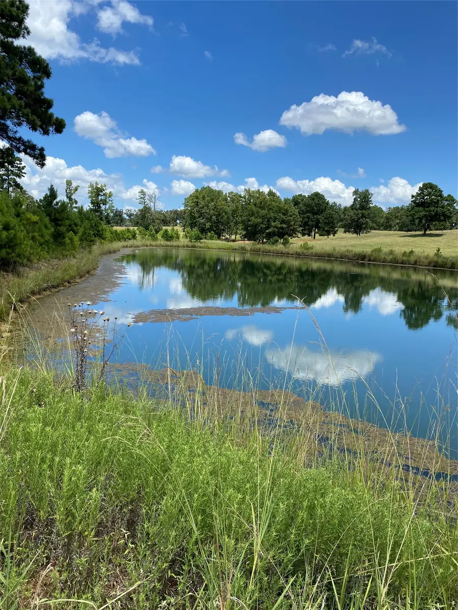 11109 County Road 207, Centerville, TX 75833 - #2