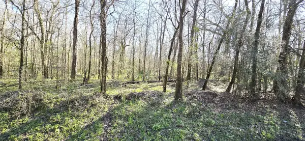 TBD County Road 2500, Liberty, TX 77575