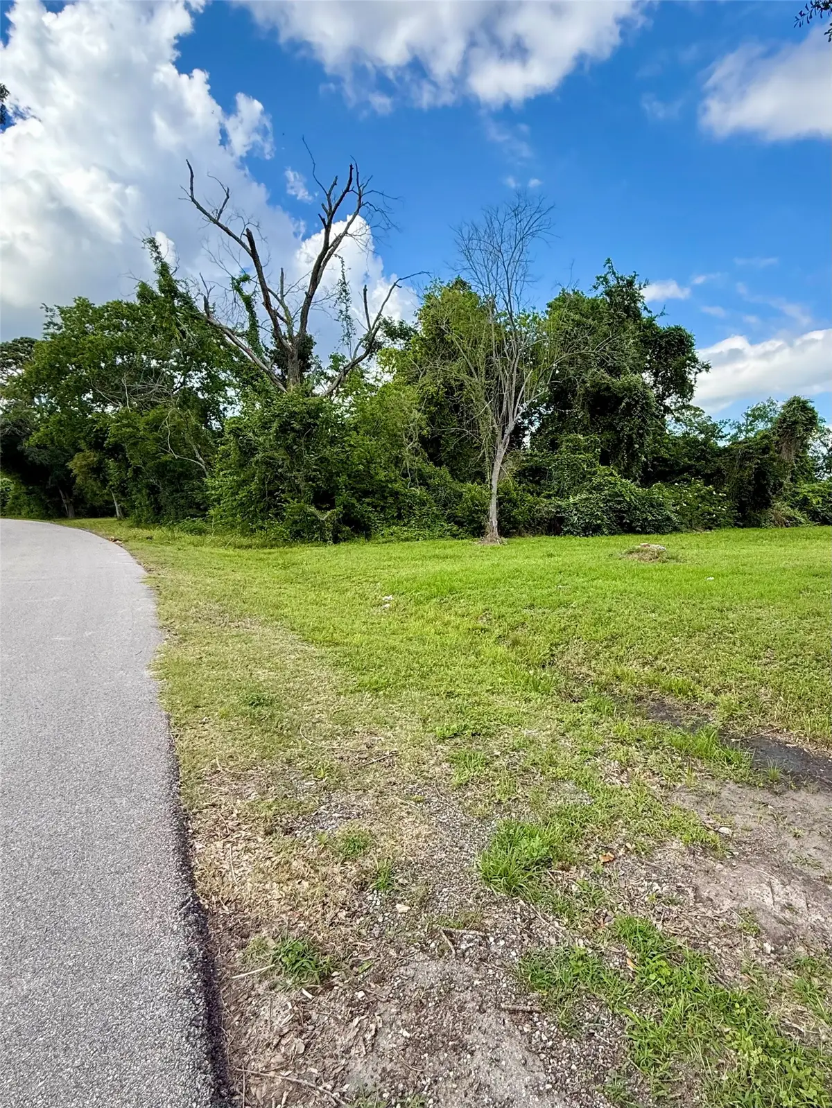 13650 Salt Grass Trail Lot 105, Cypress, TX 77429 - #1