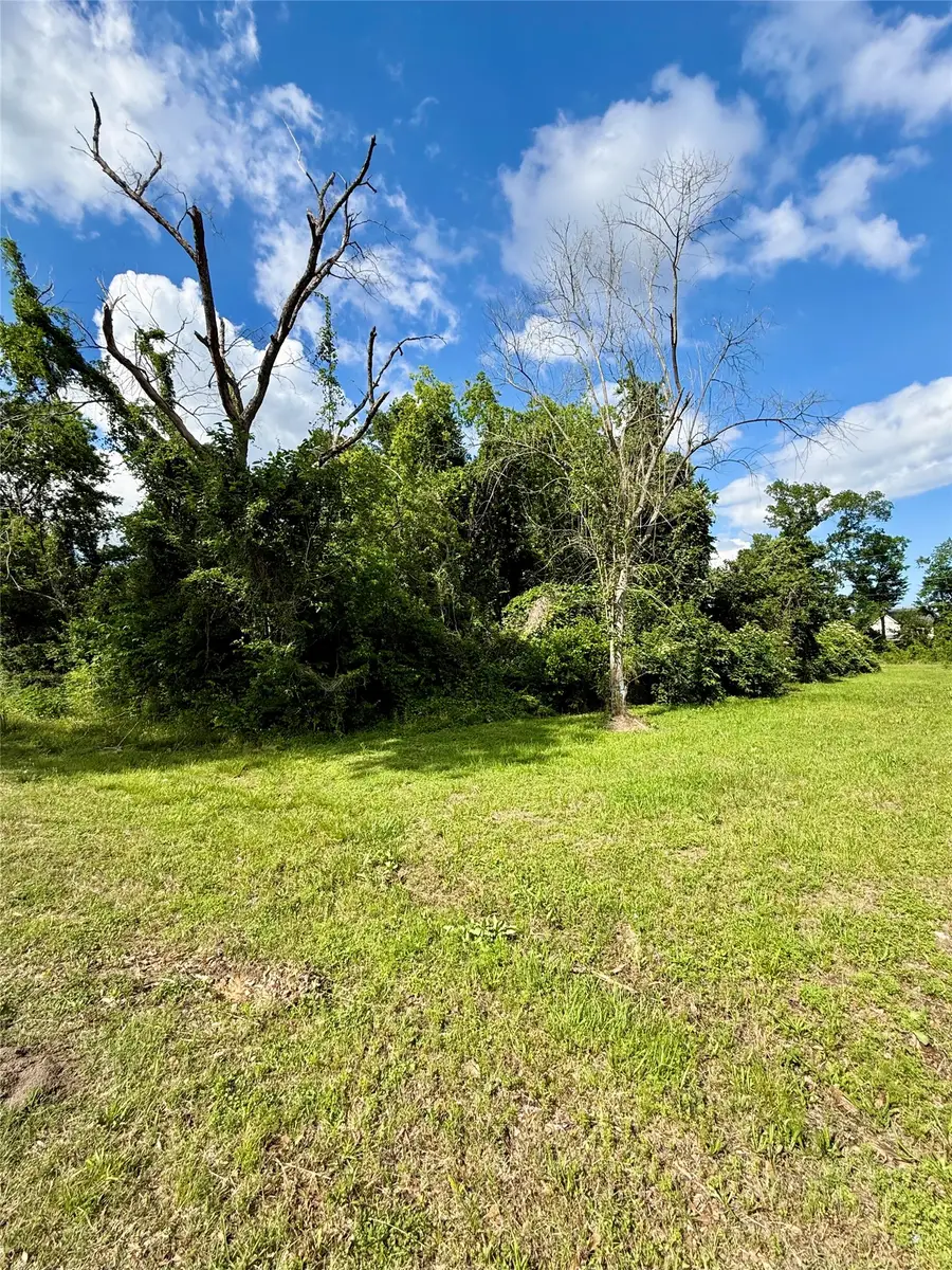 13650 Salt Grass Trail Lot 105, Cypress, TX 77429 - #2
