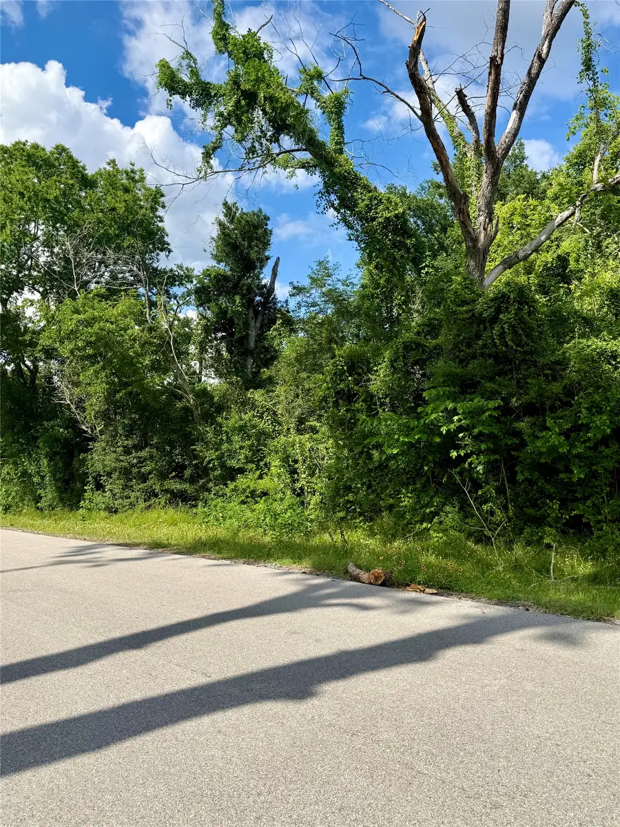 13650 Salt Grass Trail Lot 105, Cypress, TX 77429 - #3
