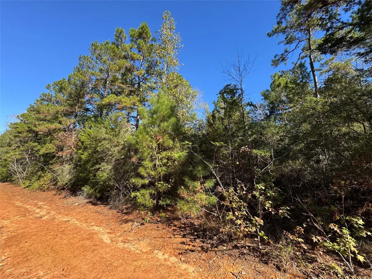 00 Fagan Dr Drive, Livingston, TX 77351 - Image #1