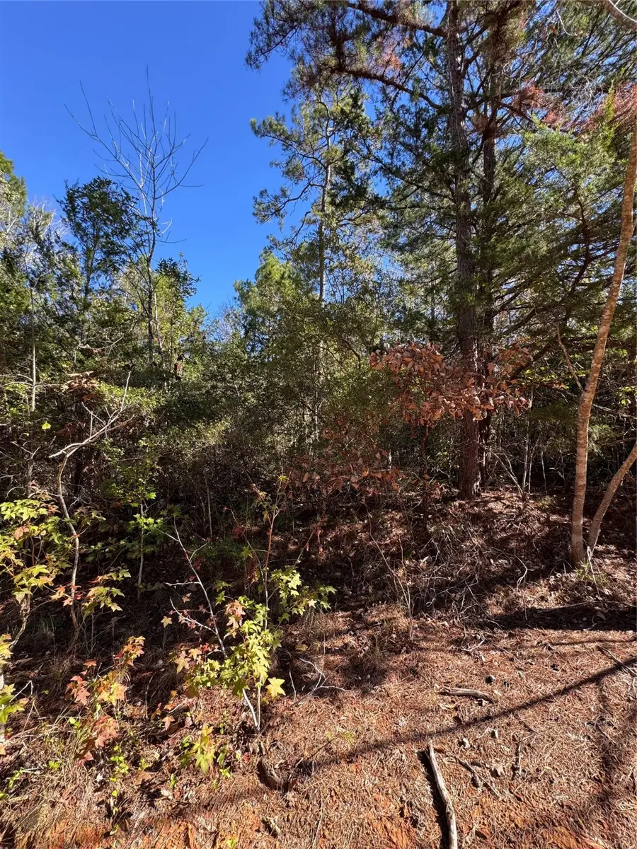 00 Fagan Dr Drive, Livingston, TX 77351 - Image #2