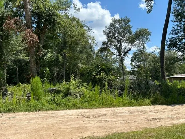 27081 Rocking R, Splendora, TX 77372 - #1