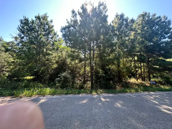 0 Alum Creek Road, Smithville, TX 78957