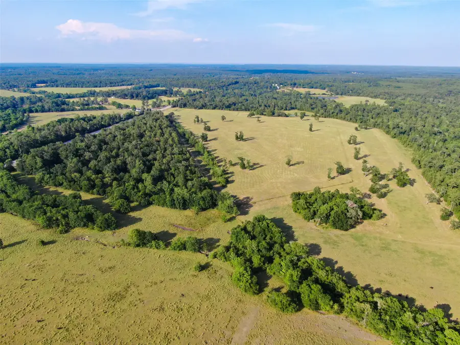 6600 State Highway 150 W, Coldspring, TX 77331 - #3