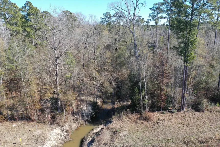 LOT 24 Hwy 96, Pineland, TX 76968 - #2