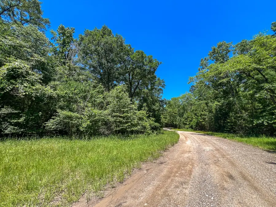 T-5 Punk Road, Corrigan, TX 75939 - #2