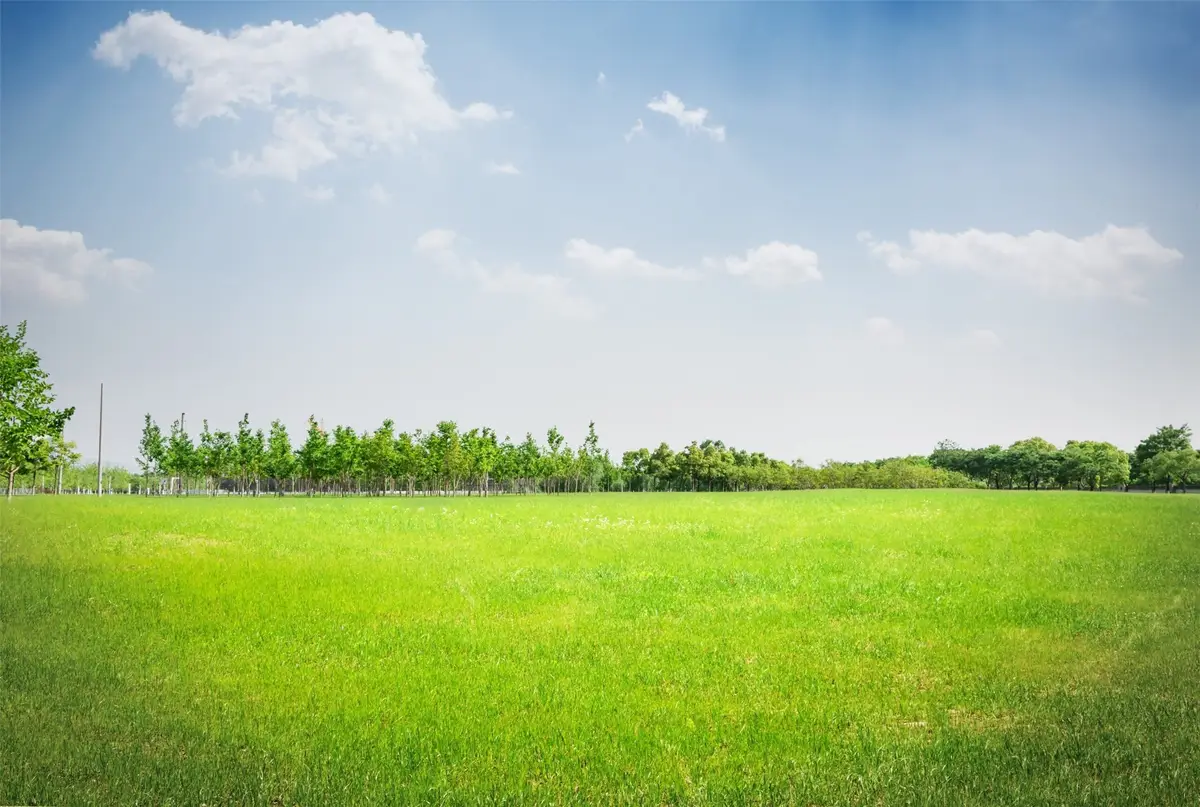 540 Road 5105, Cleveland, TX 77327 - #1