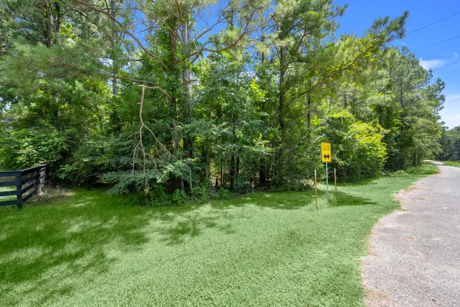 0 Wee Creek Lane, Montgomery, TX 77356 - #2