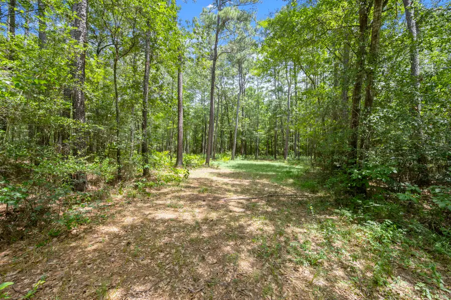 0 Wee Creek Lane, Montgomery, TX 77356 - #3