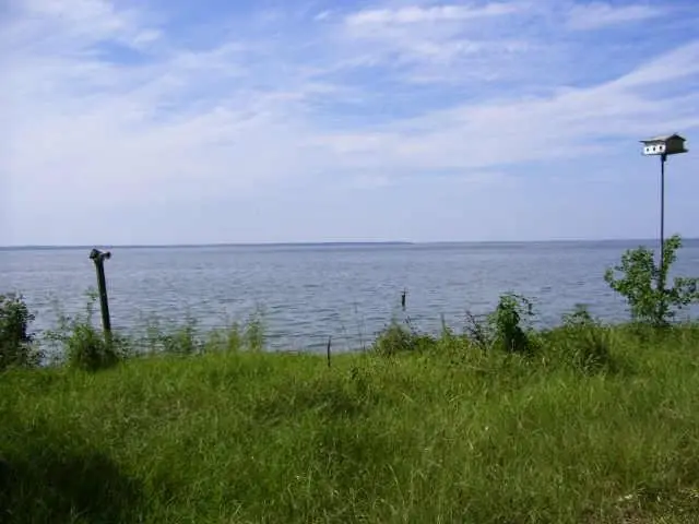 138 Inlet Drive, Livingston, TX 77351 - Image #2