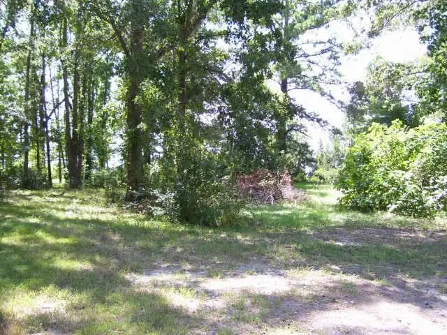 138 Inlet Drive, Livingston, TX 77351 - Image #3