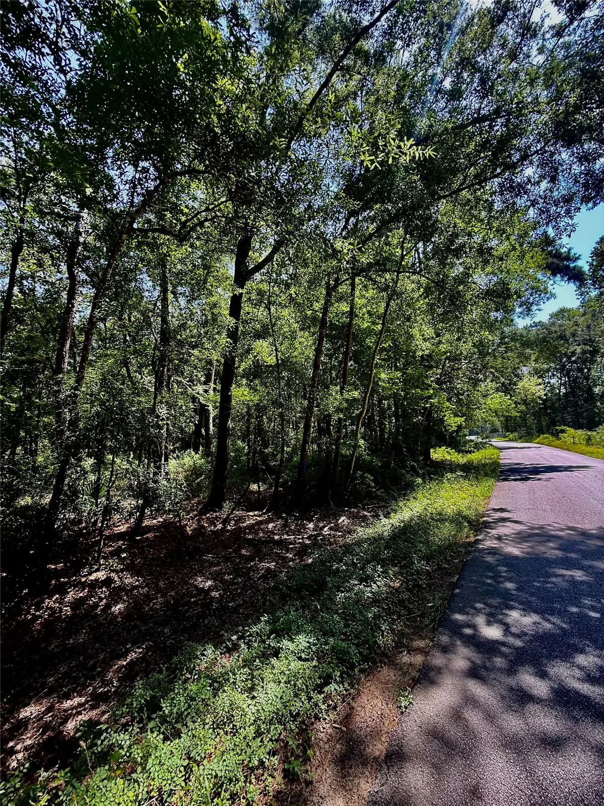 TBD Lot 2 Rolling Hills Drive, Porter, TX 77365 - #1