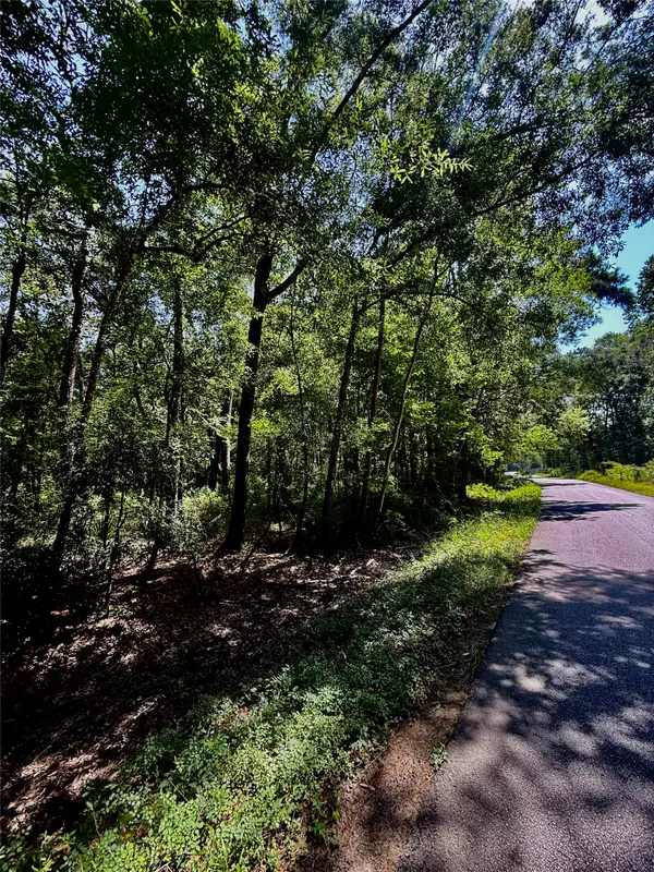 TBD Lot 2 Rolling Hills Drive, Porter Heights, TX 77365
