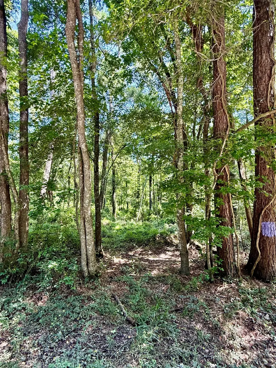 TBD Lot 2 Rolling Hills Drive, Porter, TX 77365 - #2