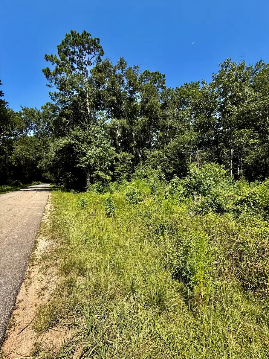 TBD Lot 2 Rolling Hills Drive, Porter, TX 77365 - #3