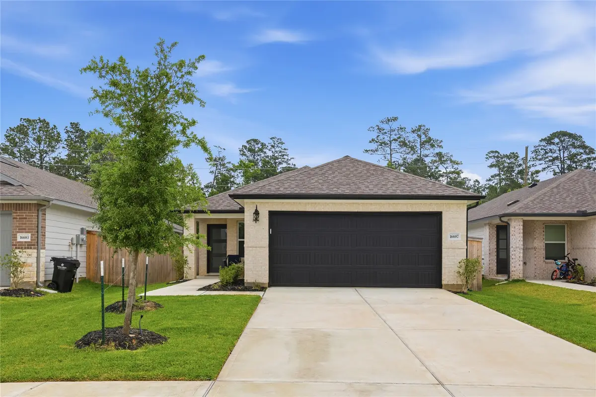 16687 Sterling Cliff Street, Conroe, TX 77302 - #1